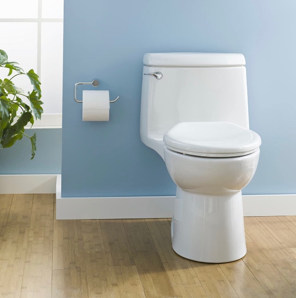 American Standard Champion 4 Toilet Review