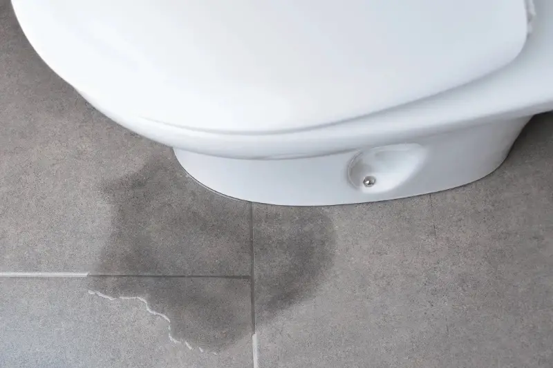 How To Fix Toilet Leaking At The Base? 2024 - Loo Reviews