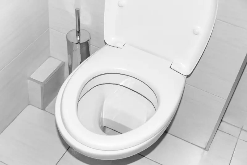 How To Flush A Toilet Without Water?