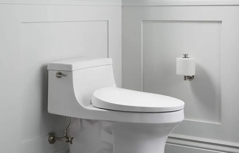 Expert Guide: Tighten A Toilet Seat With Hidden Fixings 2024