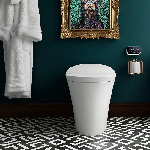 Kohler Veil One-Piece Intelligent Toilet Review