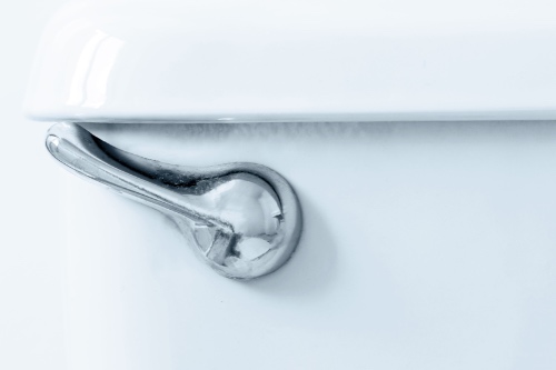 Single Flush vs. Dual Flush Toilets: Which Is Better For You?