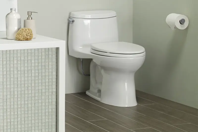 TOTO UltraMax II Toilet Review